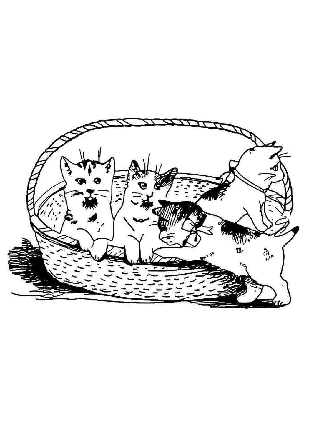Раскраска Кошенята в кошику