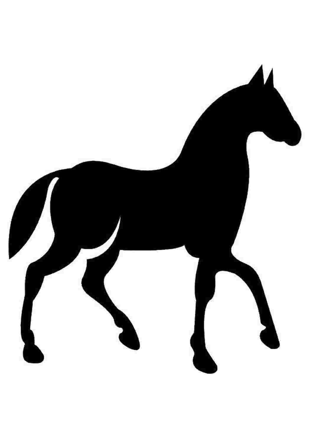 Раскраска кобилка