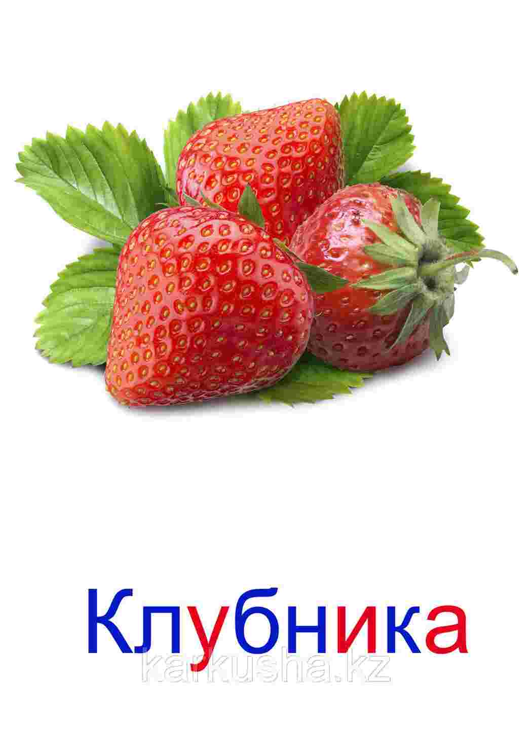 Раскраска картки ягода малина журавлина ожина