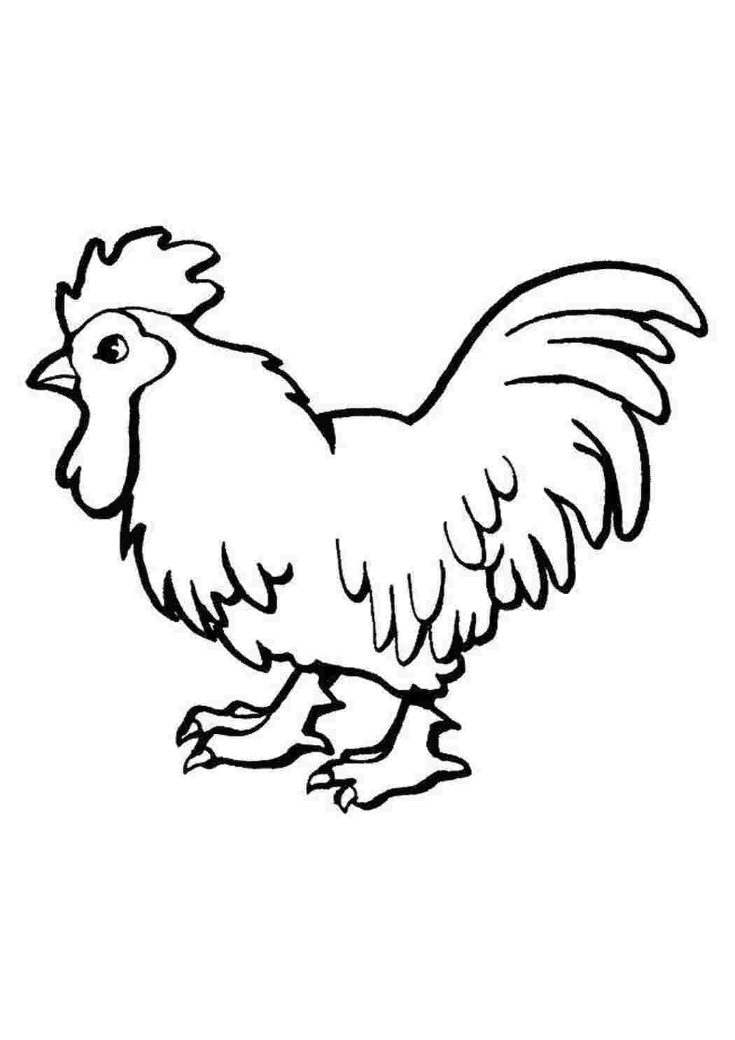 Раскраска Злий півень