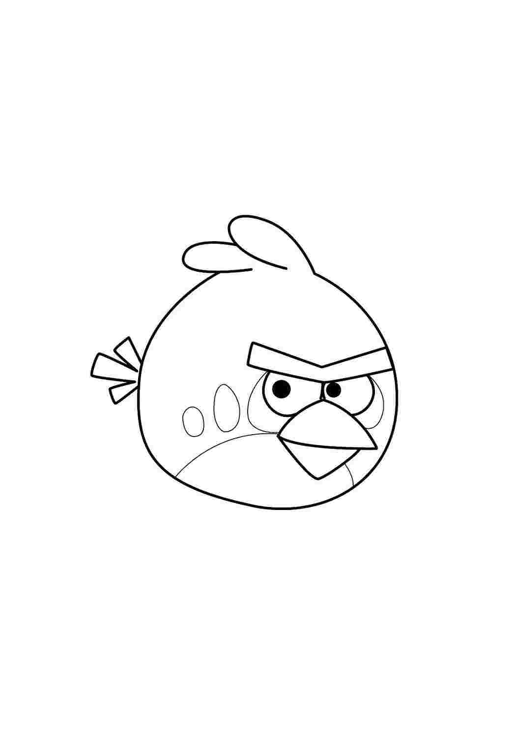 Раскраска Пташка з Angry Birds