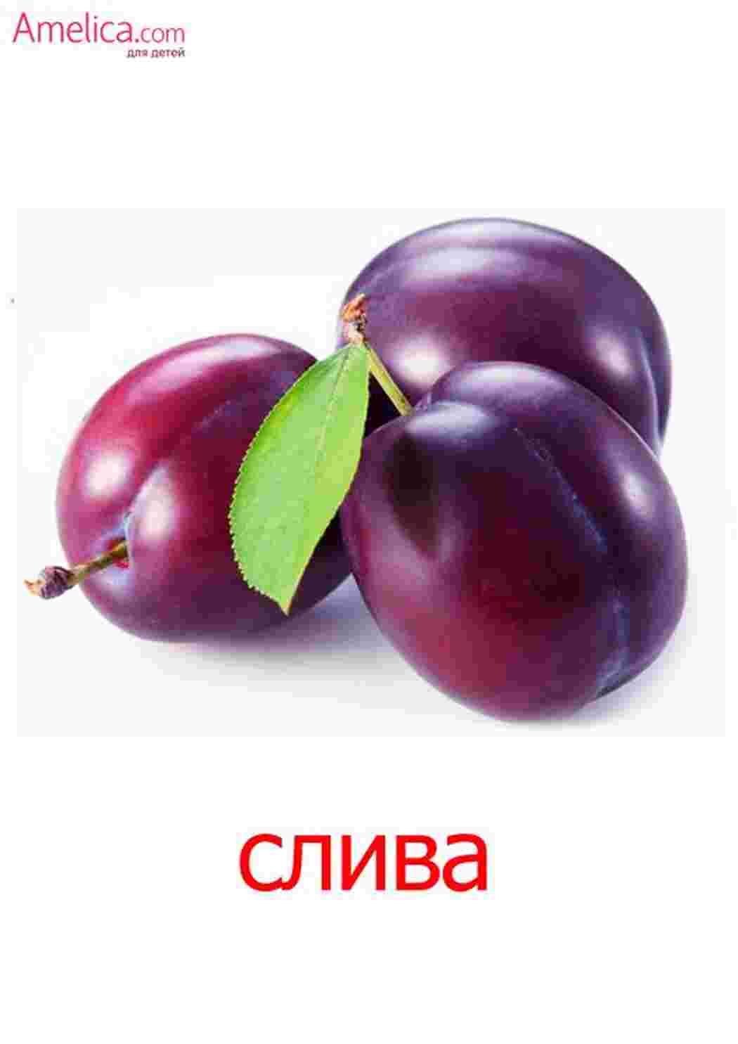 Раскраска картки фрукти яблуко груша слива мандарини