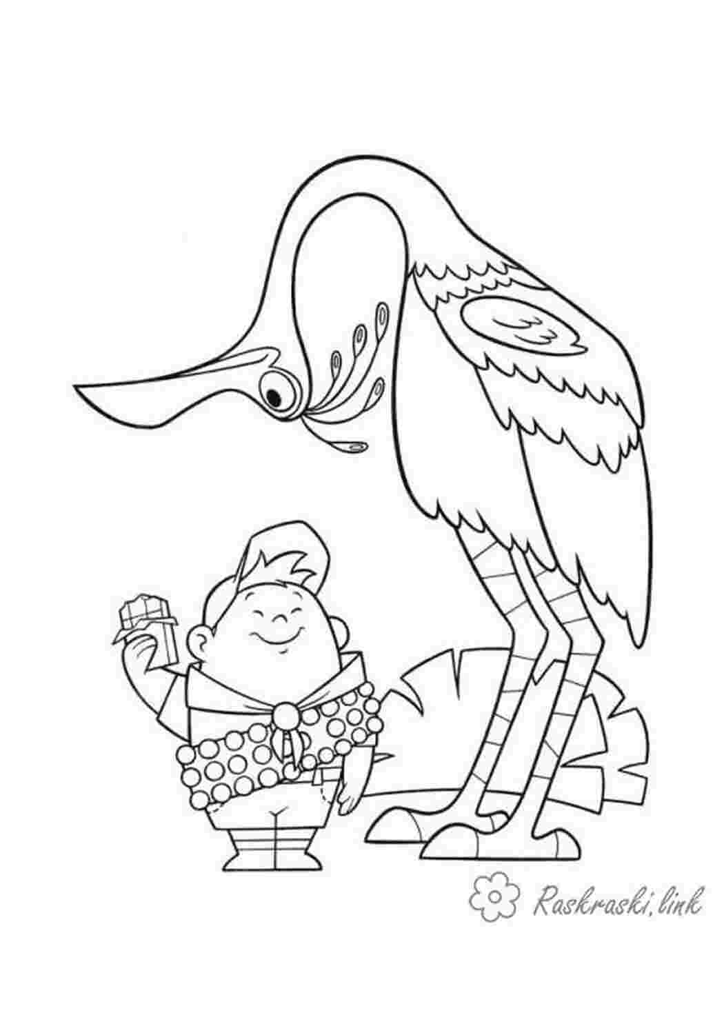 Раскраска розмальовки мультфільми розмальовки мультфільм вгору хлопчик птах Рассел