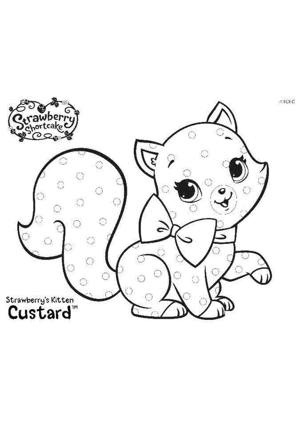 Раскраска Кошечка шарлотки