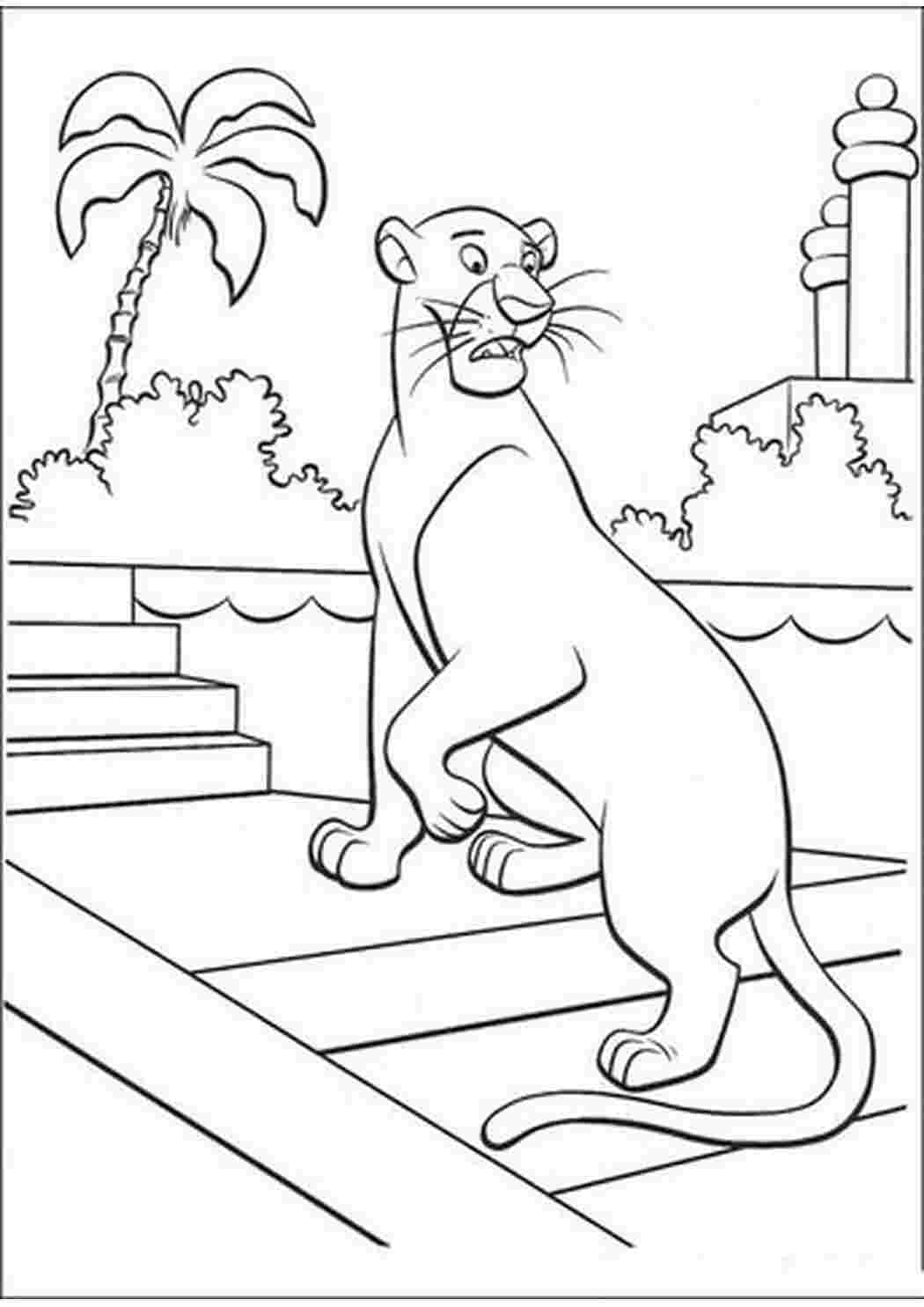 Раскраска Тварина пантера Дикий хижий кіт Африки