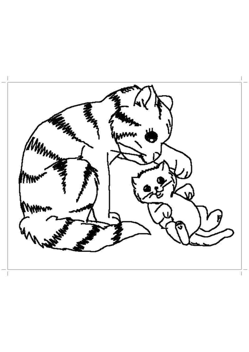 Раскраска Розфарбунки кошки та кошенята