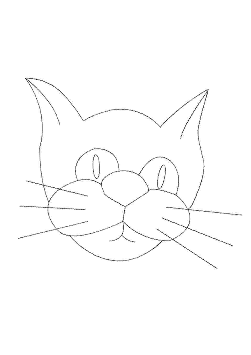 Раскраска Котик