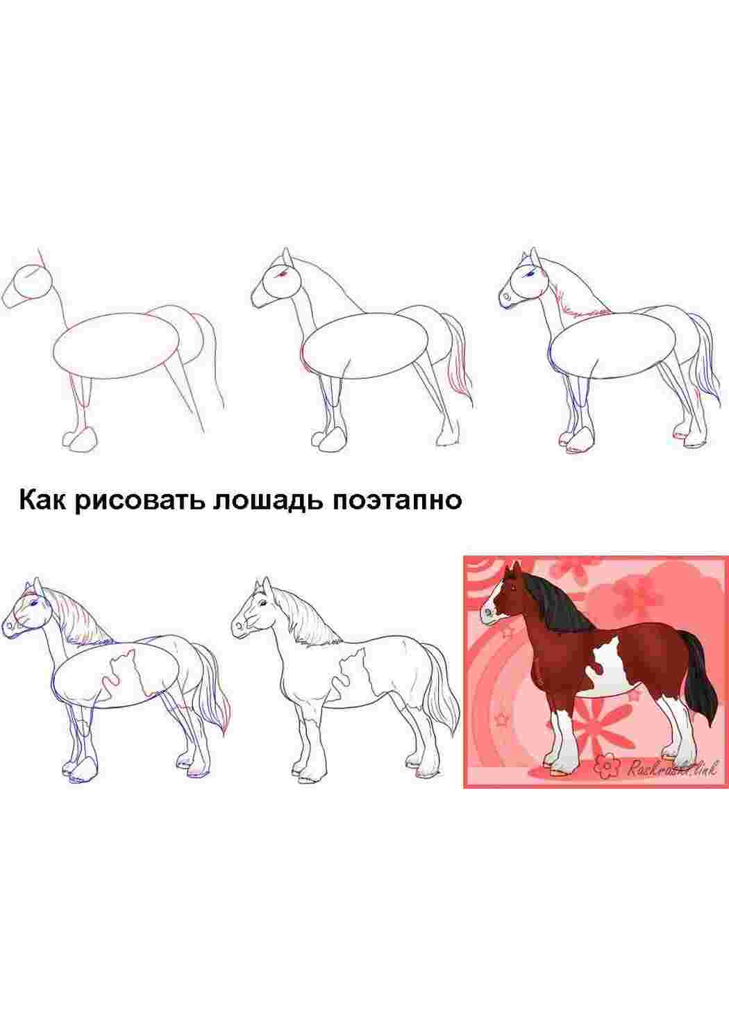 Раскраска намалювати коня