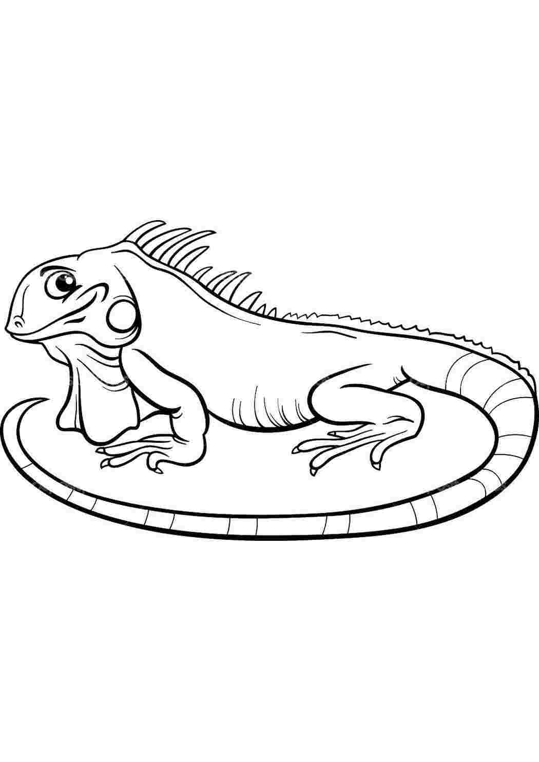 Раскраска Мила ігуана