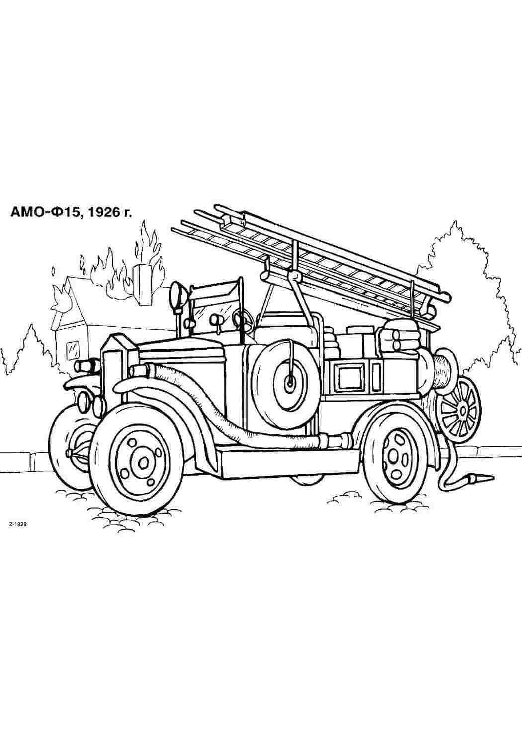 Раскраска Амо ф15
