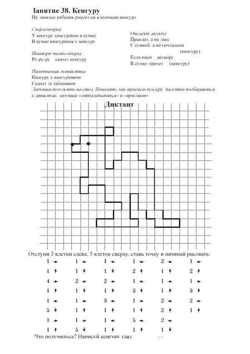 Раскраска Кенгуру