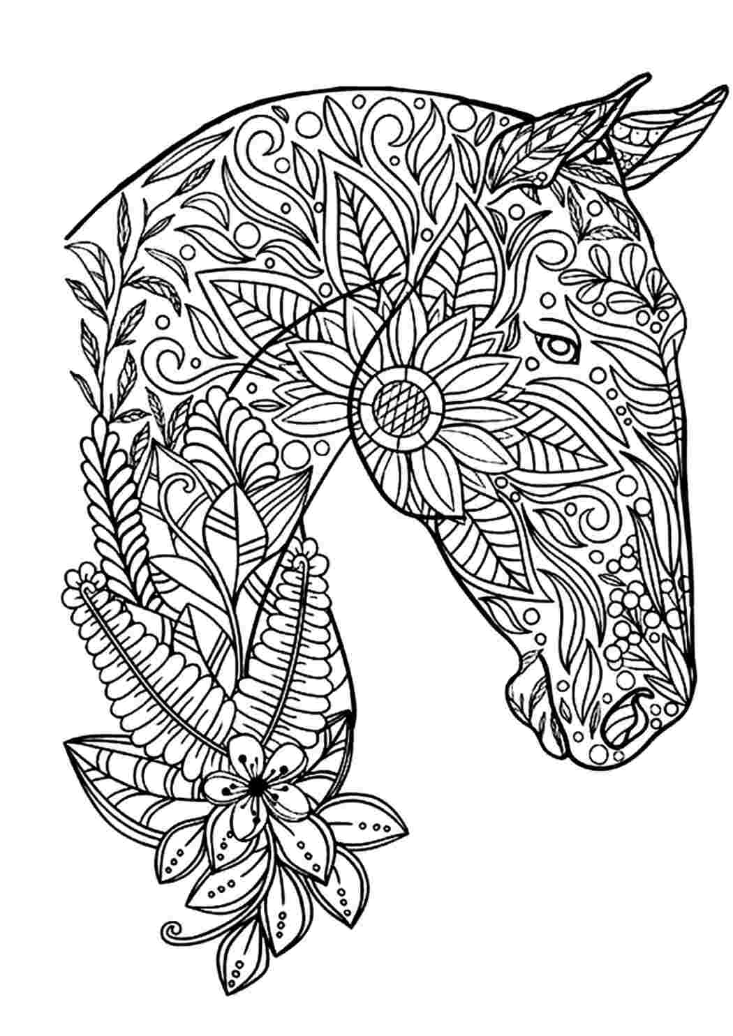 Раскраска Гарні розмальовки Кінь