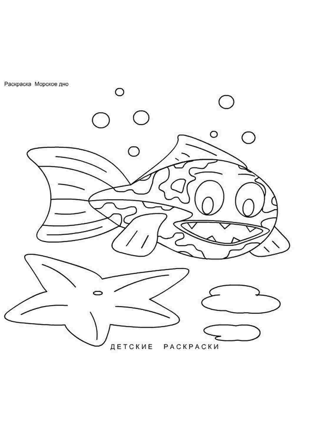 Раскраска Розфарбування мешканці моря