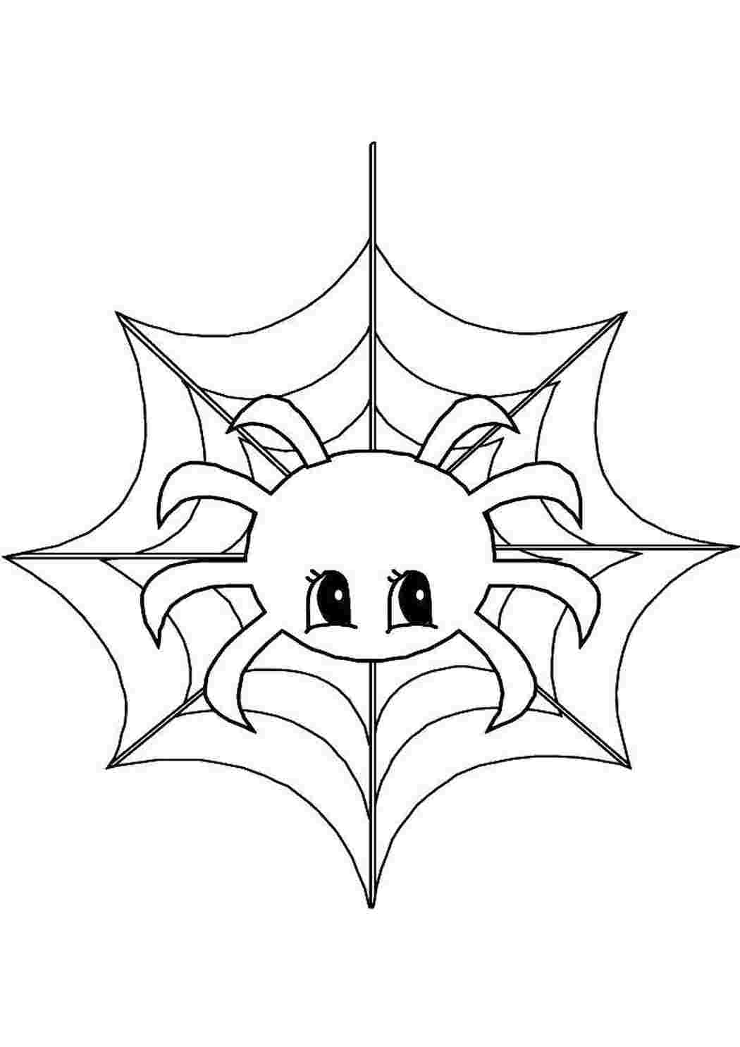 Раскраска Павук на павутині