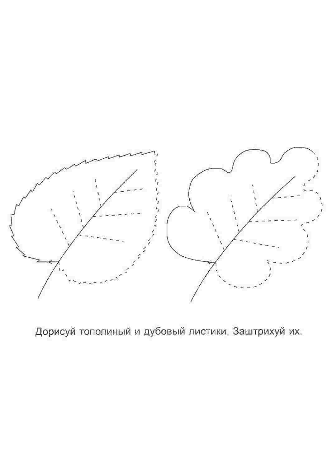 Раскраска Листочки