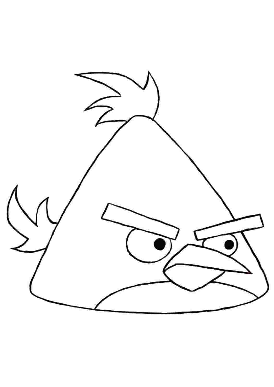 Раскраска Пташка з Angry Birds