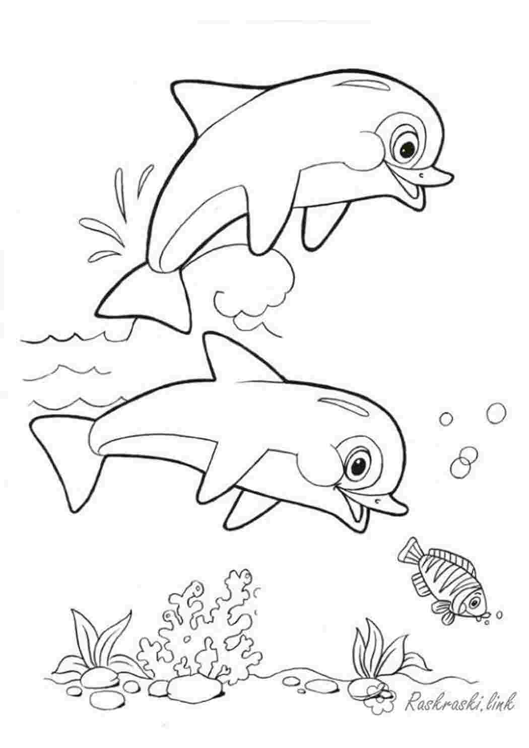 Раскраска природа підводний світ дельфіни