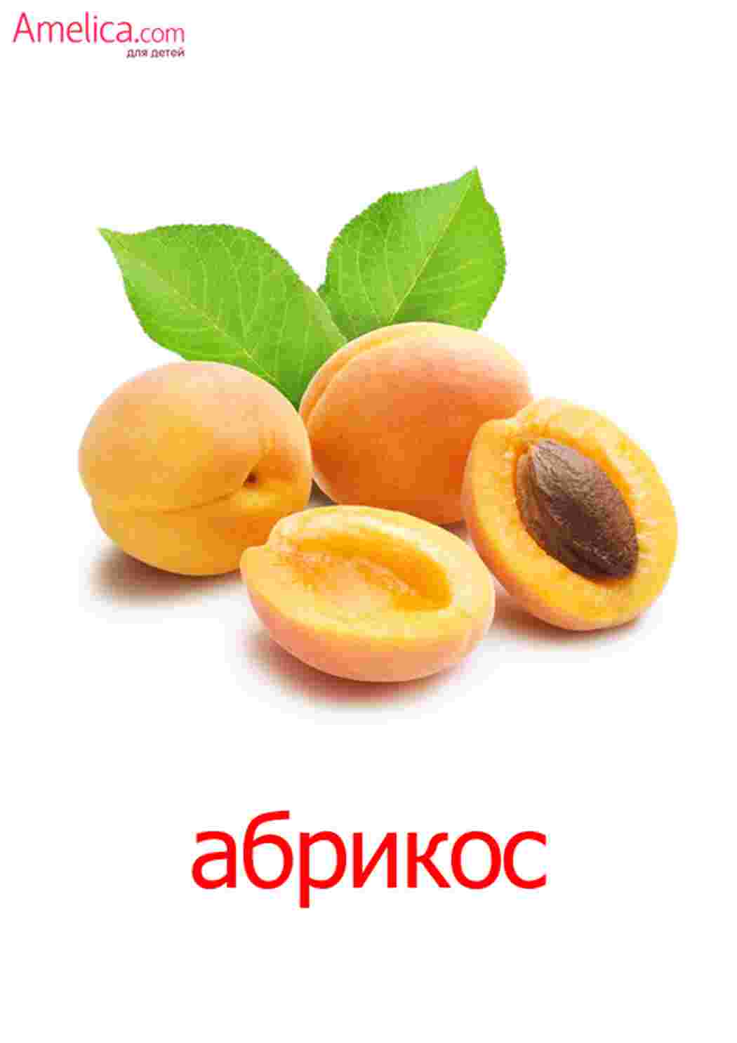 Раскраска картки ягода малина журавлина ожина