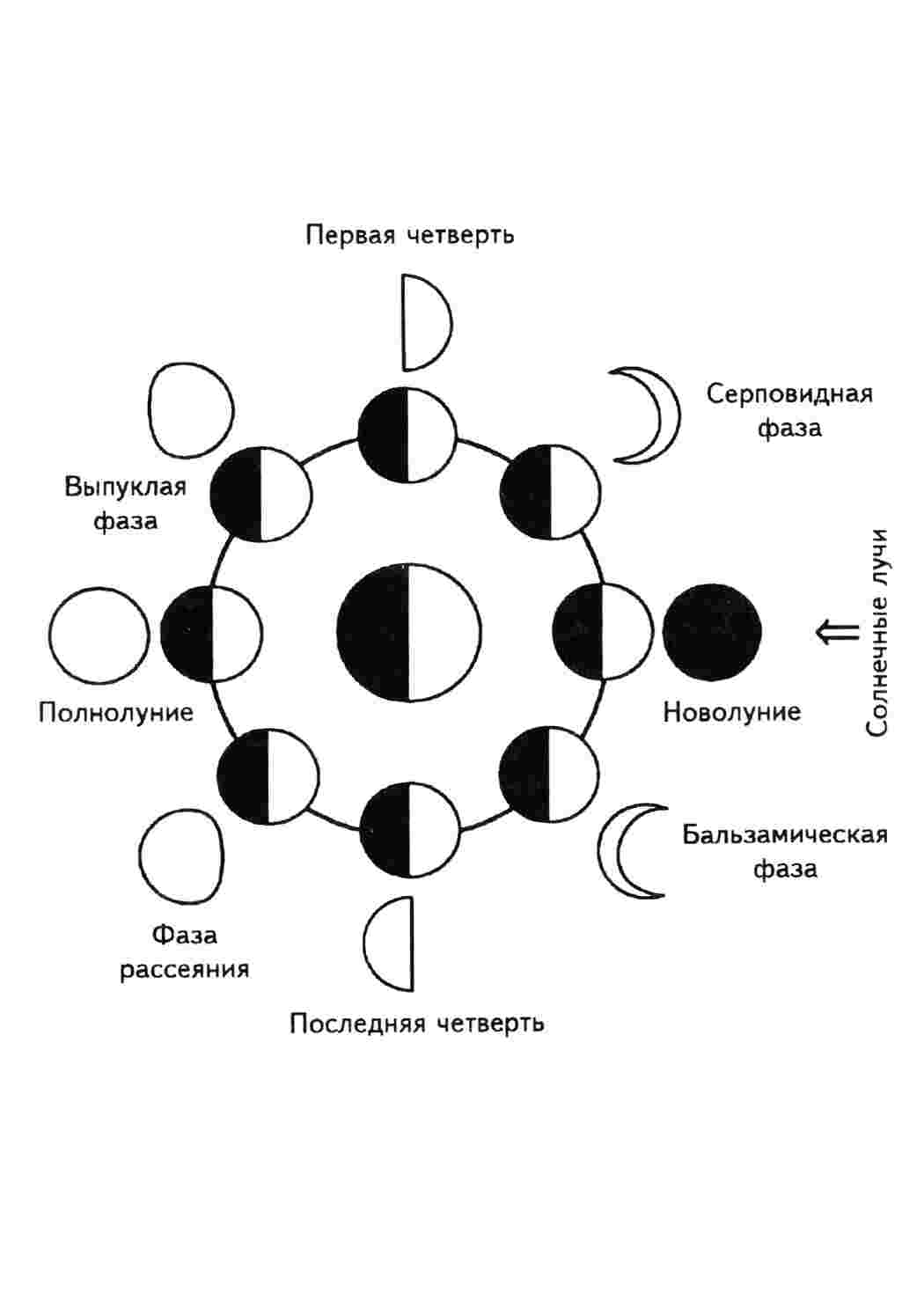 Раскраска Наука Астрономія