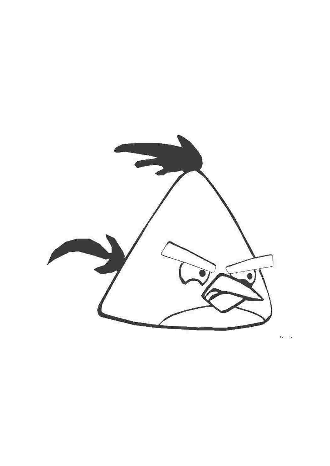 Раскраска Пташка з Angry Birds