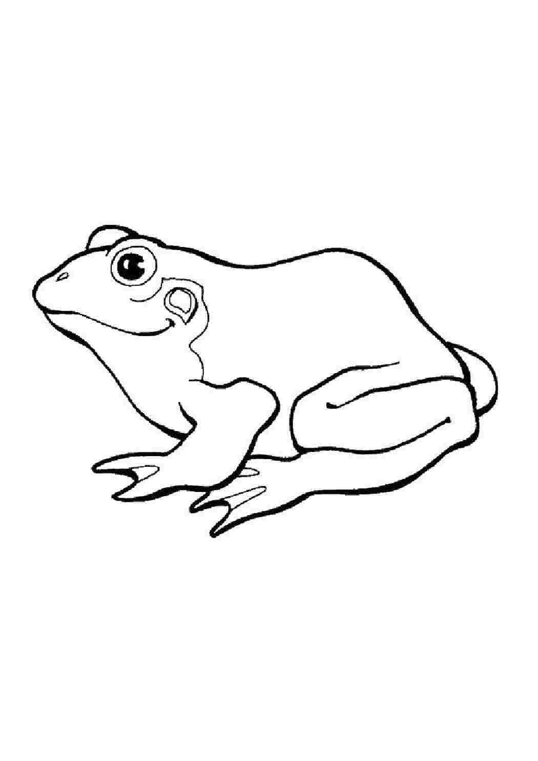 Раскраска Жабеня