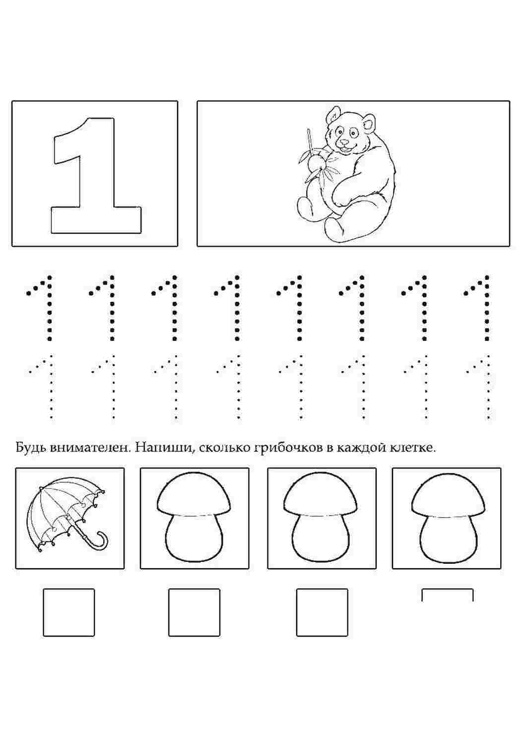 Раскраска Гриби