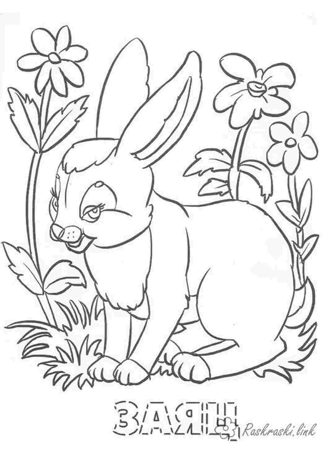 Раскраска Розфарбування лісові тварини розмальовки для дітей заєць ліс тварини