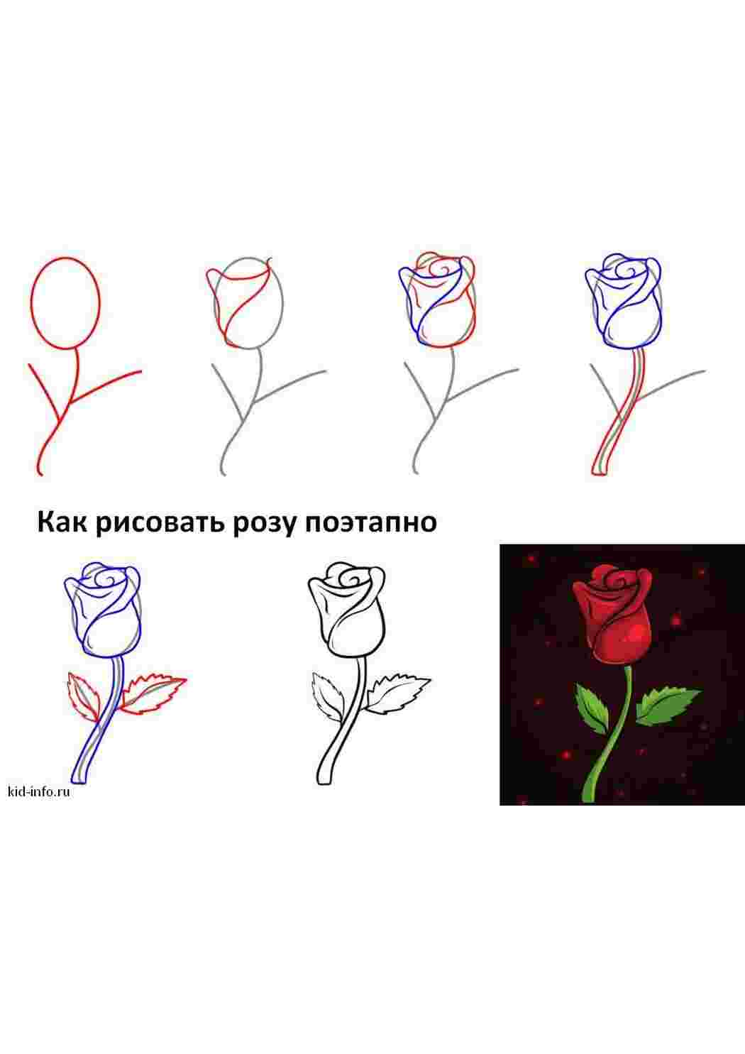 Раскраска Квітка роза поетапно малювати