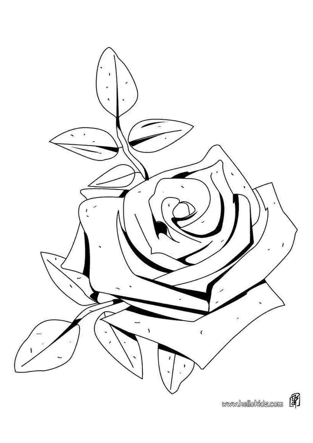 Раскраска Троянда квітка