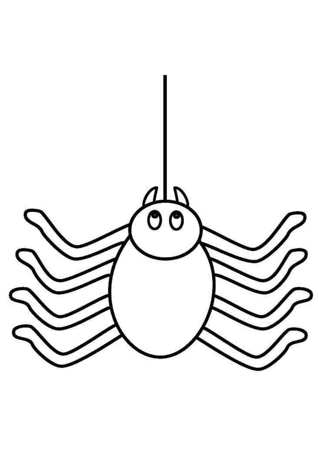 Раскраска Павук спустився на павутинні