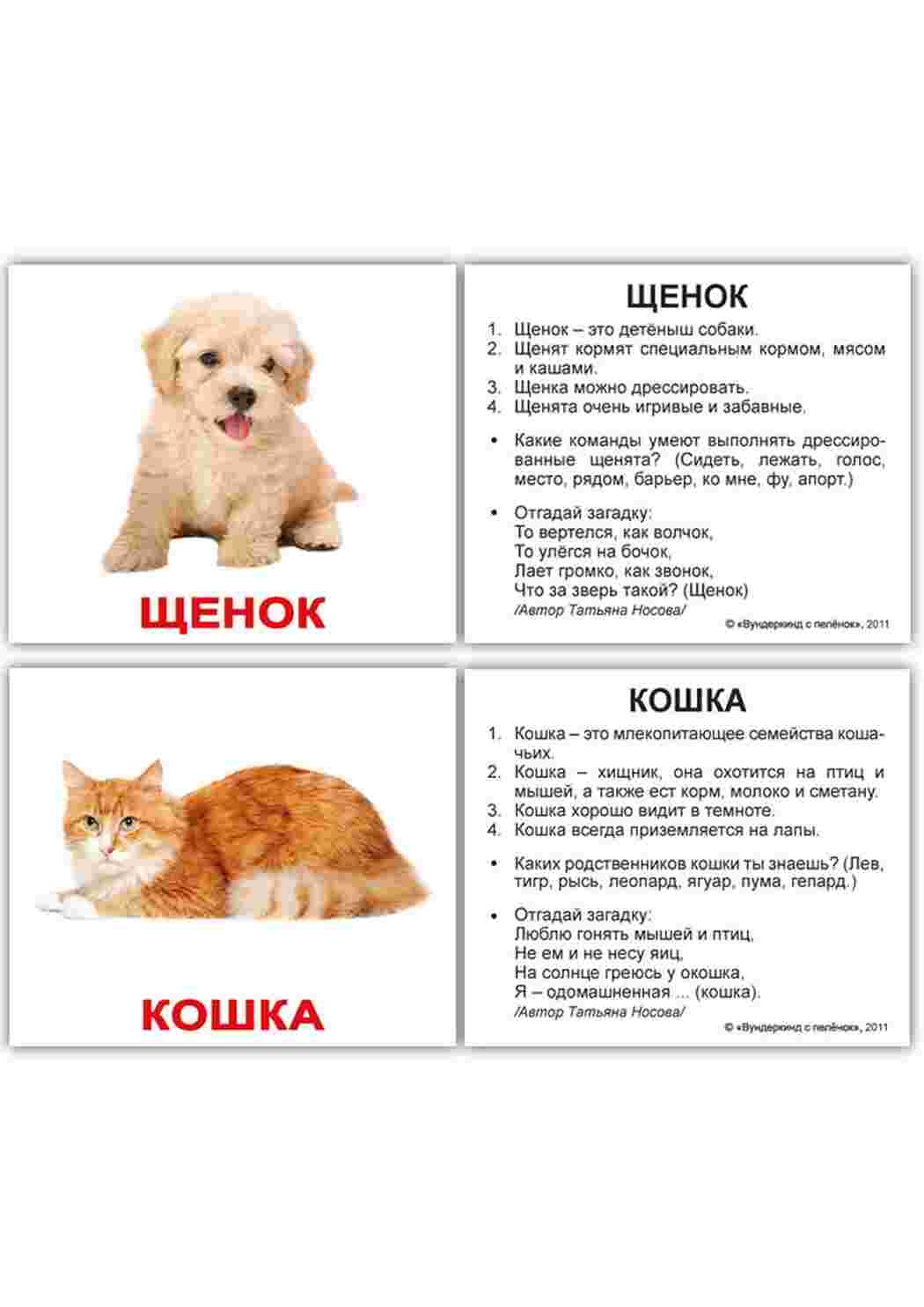 Раскраска картки домашніх тварин