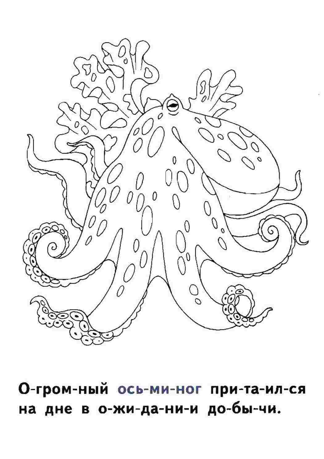 Раскраска Восьминіг