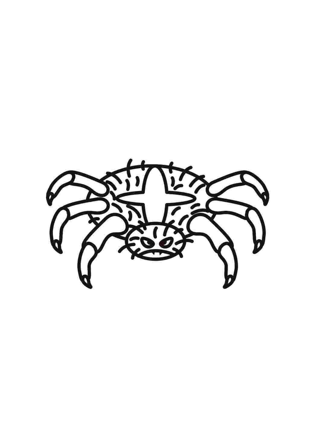 Раскраска Павук