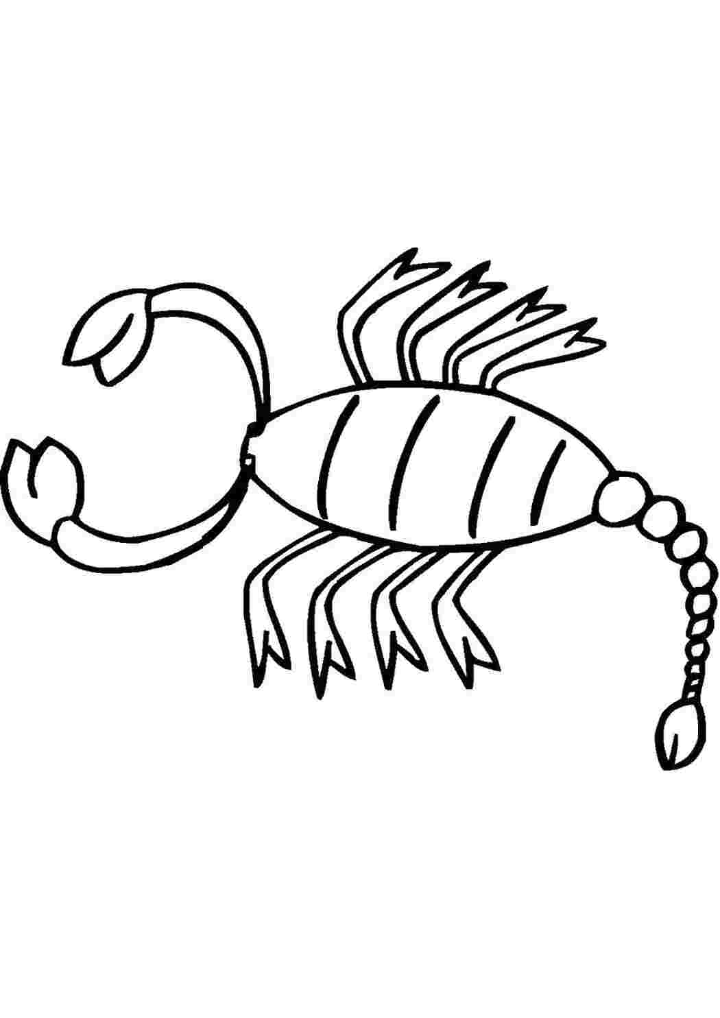 Раскраска Скорпіон