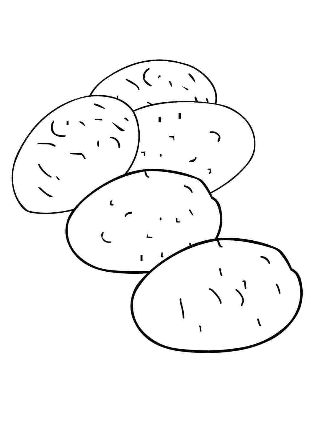 Раскраска Картопля