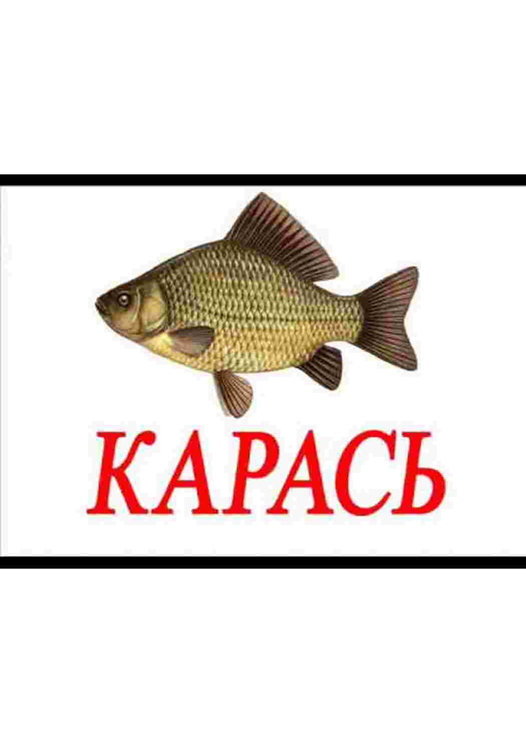 Раскраска картки з рибами