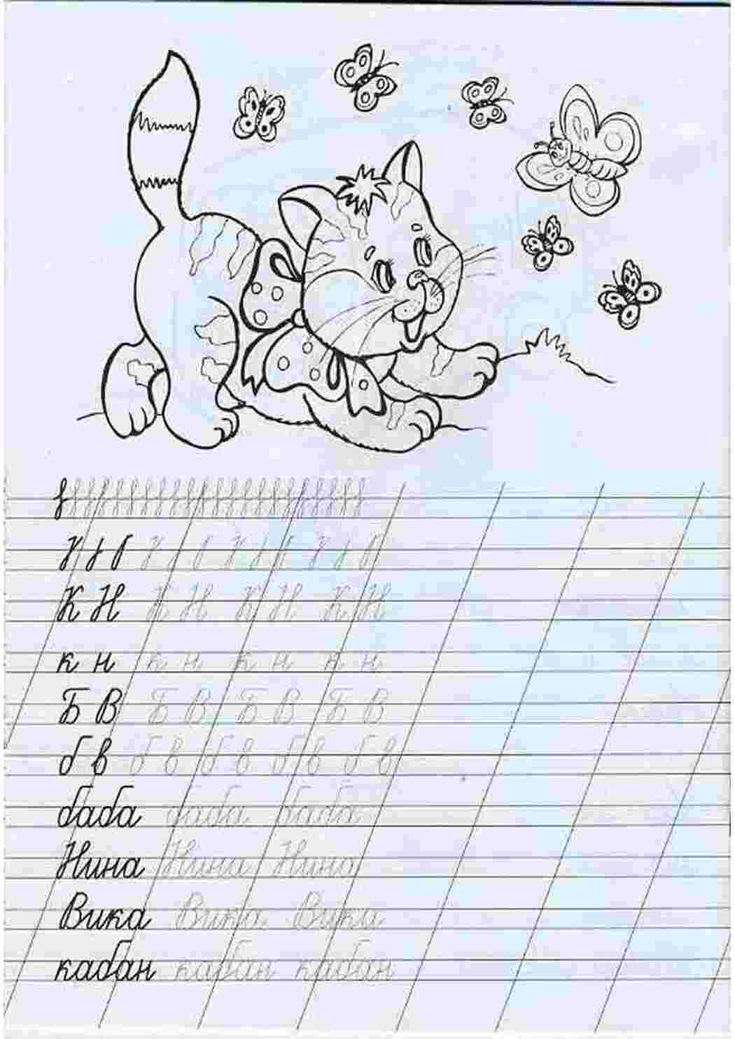 Раскраска Кошеня