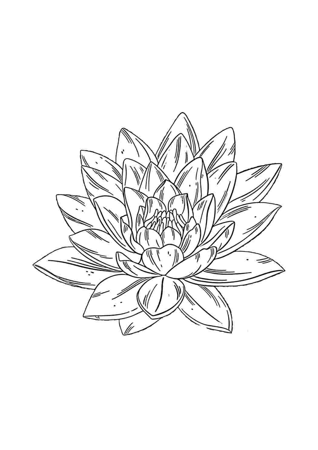 Раскраска Гарні розмальовки Квіти