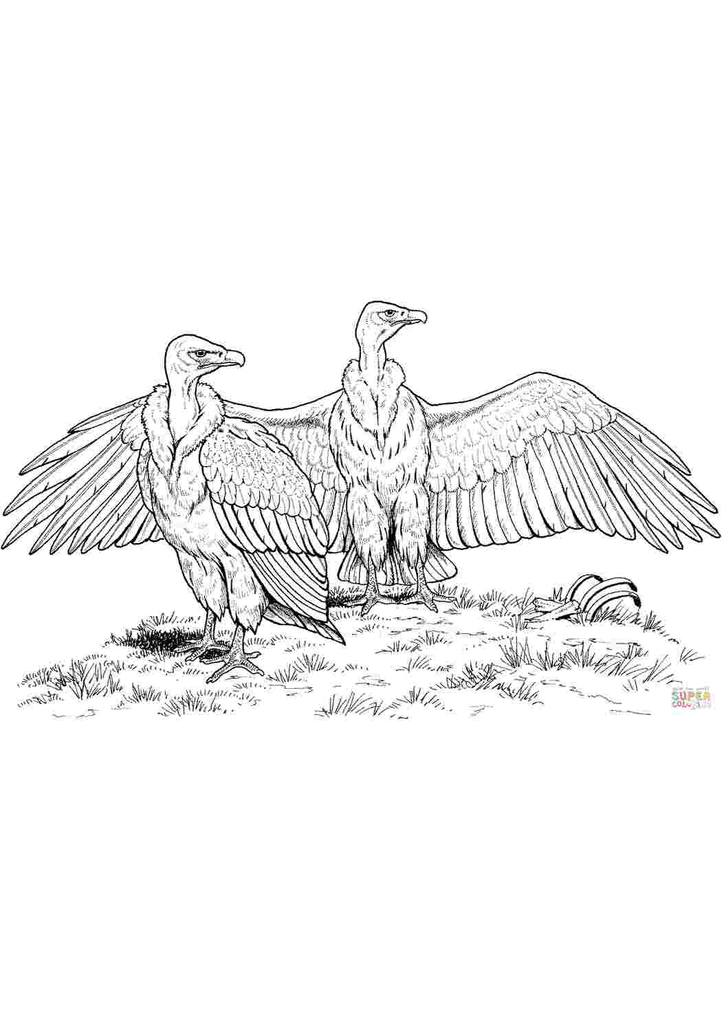 Раскраска 