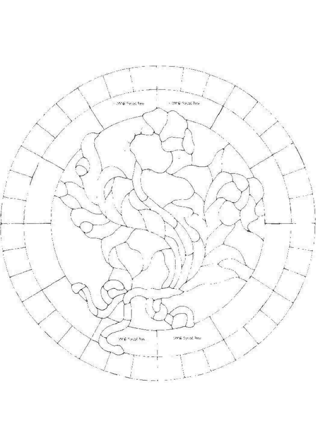 Раскраска Квіти