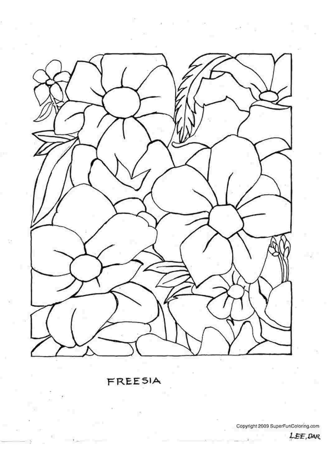 Раскраска Фрезія
