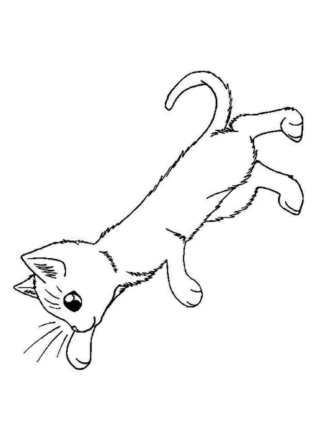Раскраска Маленьке кошеня