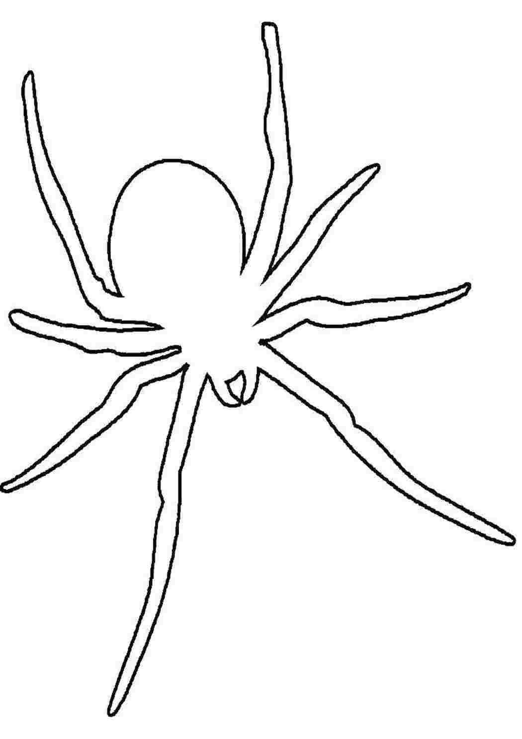 Раскраска Павук