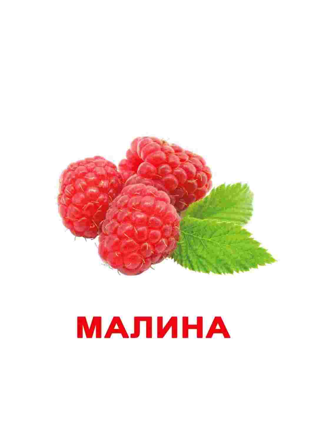 Раскраска картки ягода малина журавлина ожина