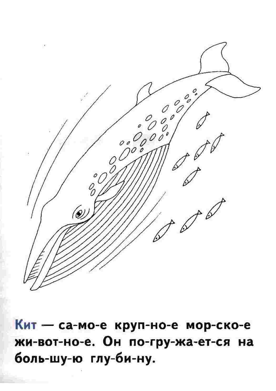 Раскраска Кити