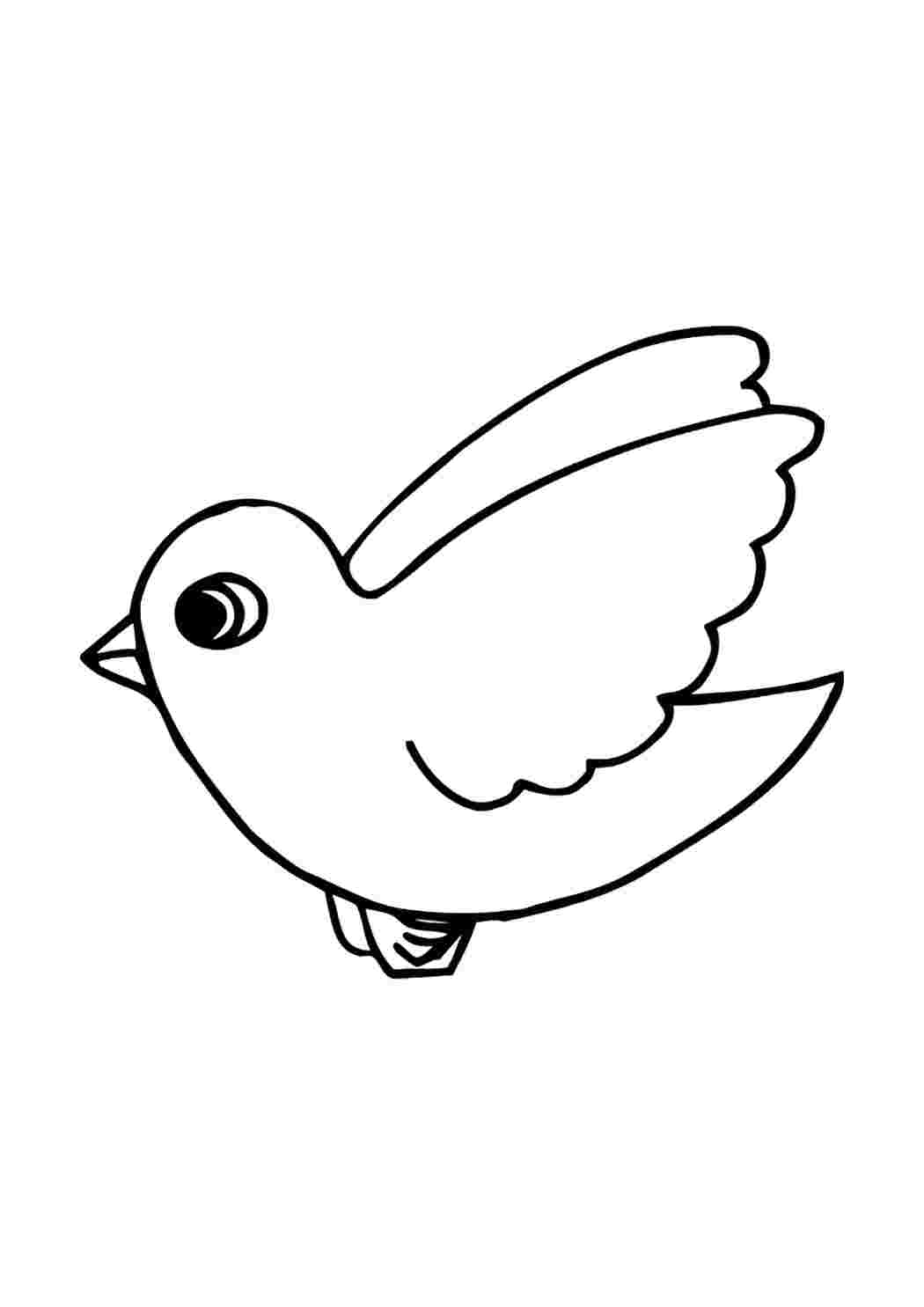 Раскраска Гарні розмальовки Розфарбування для малюків