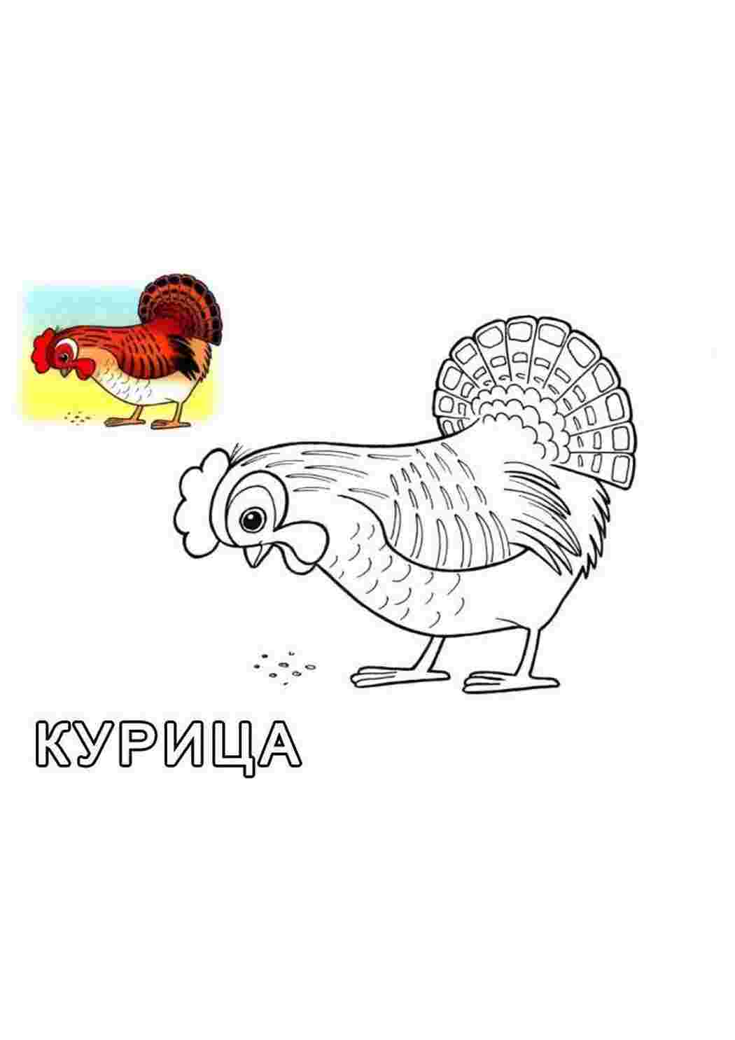 Раскраска Зображення курки