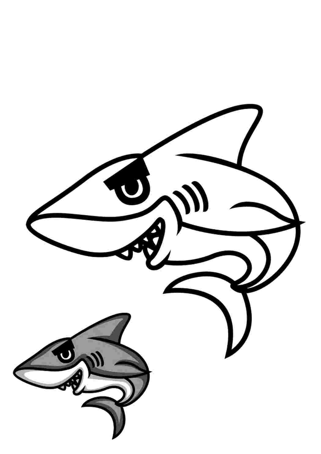 Раскраска Гарні розмальовки Розмальовка акули та приклад розфарбовування