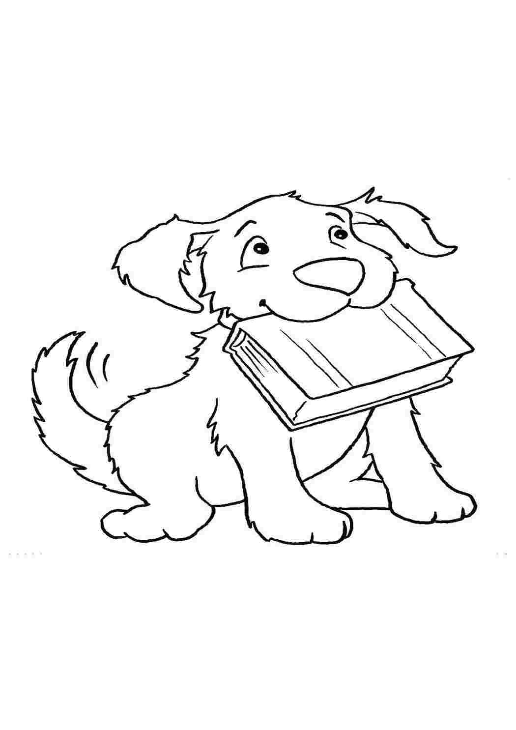 Раскраска Милий песик з книжкою