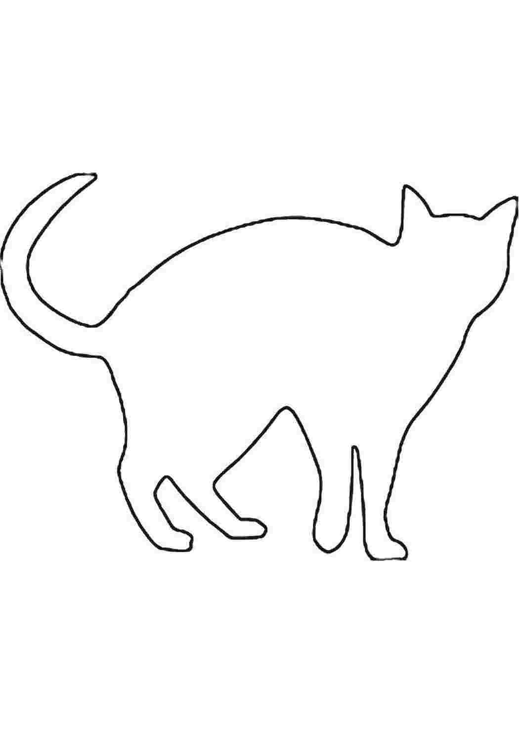 Раскраска Контур кошки